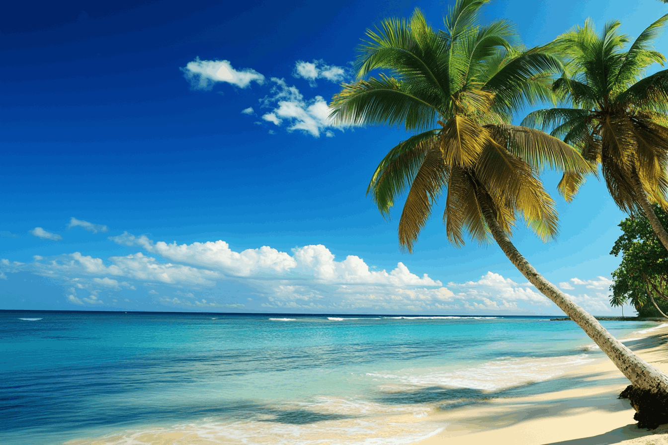 palm